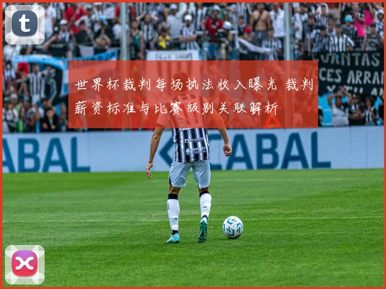 世界杯裁判每场执法收入曝光 裁判薪资标准与比赛级别关联解析