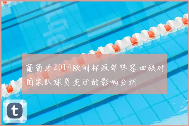 葡萄牙2014欧洲杯冠军阵容回顾对国家队球员变迁的影响分析