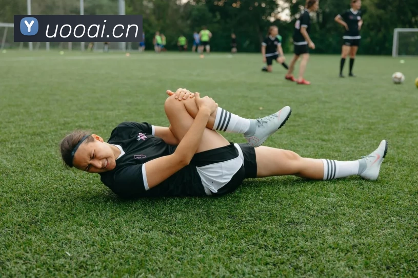 App Interface Preview